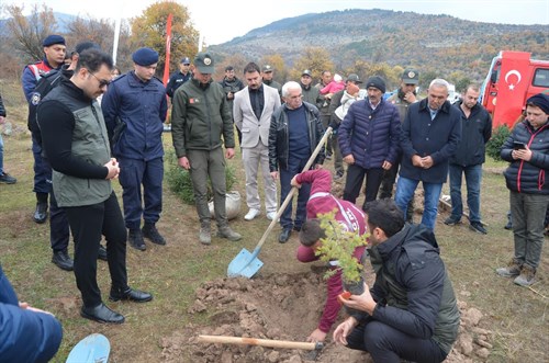 "11 Kasım Milli Ağaçlandırma Günü" münasebeti ile ilçemizde 200 adet fidan toprakla buluşturuldu